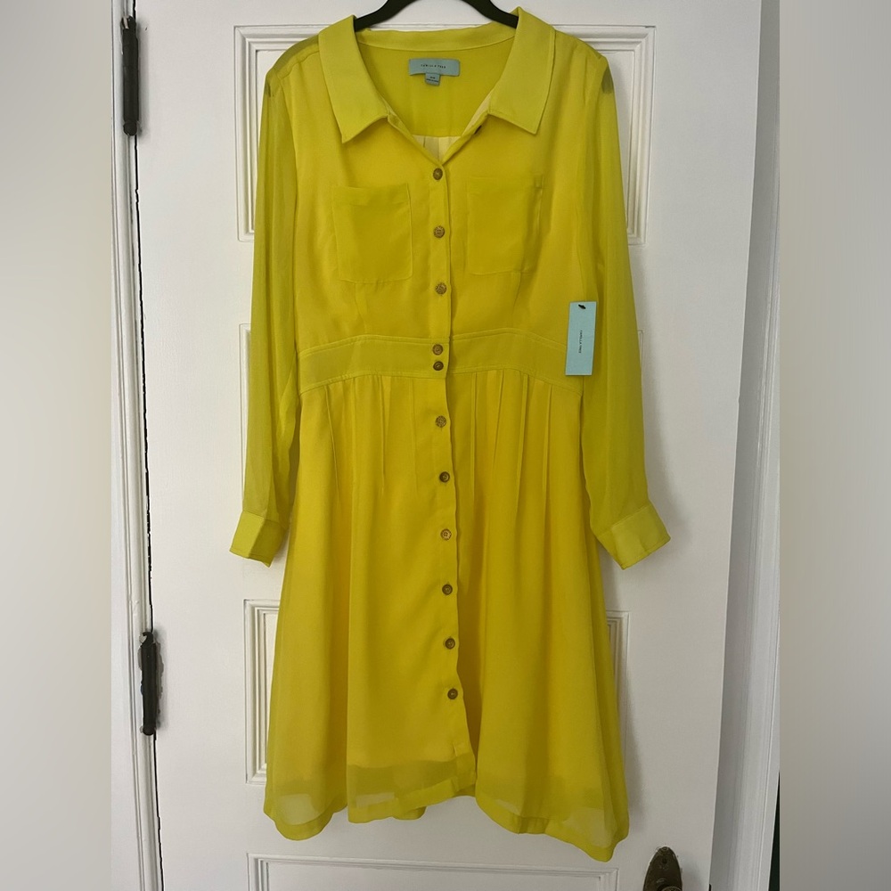 Camilla Tree Chartreuse Lime Green Long Sleeve Button Front Dress - Medium - NWT